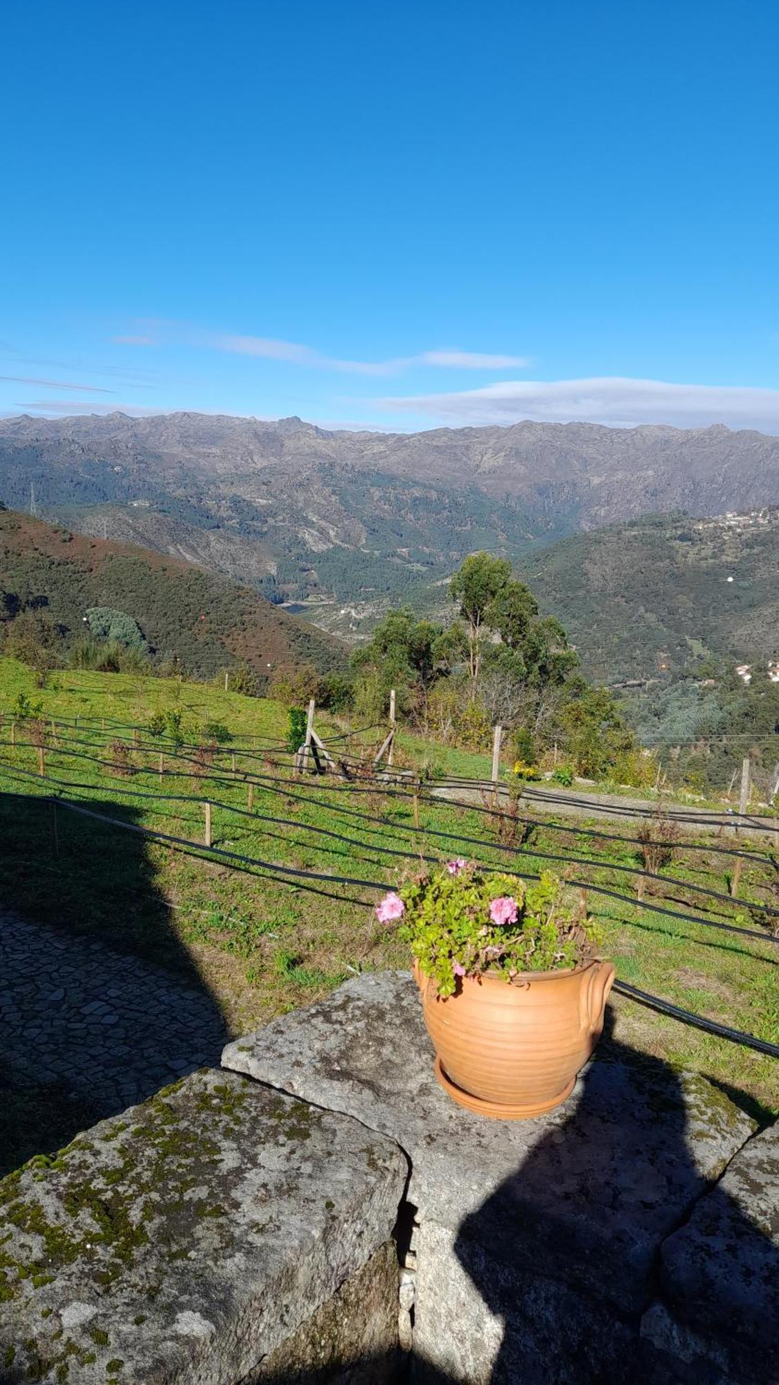 Pensjonat Quinta Da Riba Ma Santa Leocadia Zewnętrze zdjęcie
